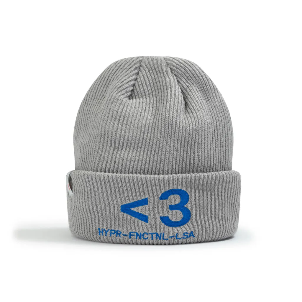 3M Thinsulate Insulation Beanie // Gray