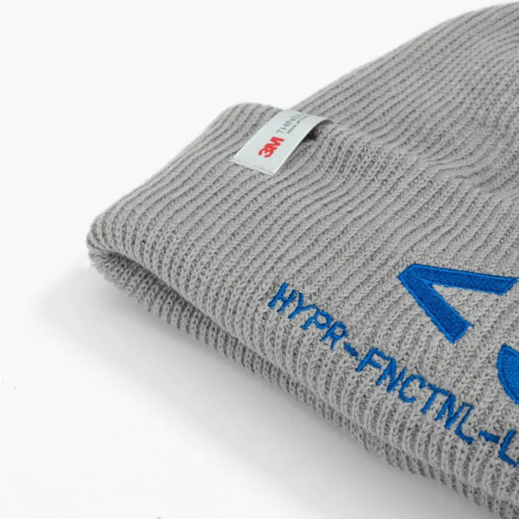 3M Thinsulate Insulation Beanie // Gray