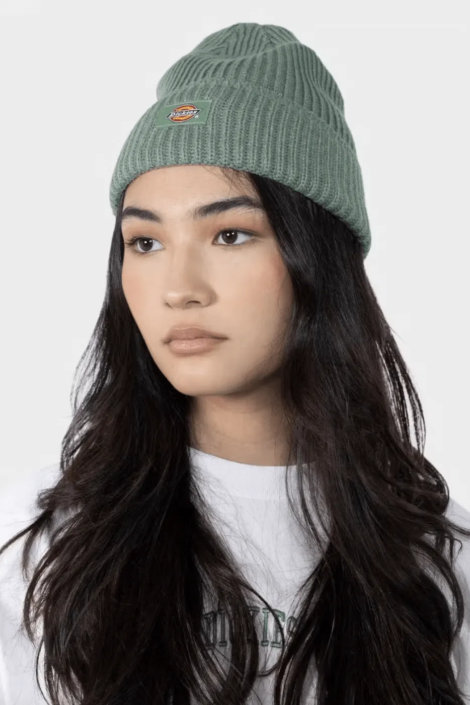 DICKIES CLASSIC LABEL CUFF BEANIE - JADE
